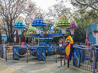 Used Samba Balloon Rides 